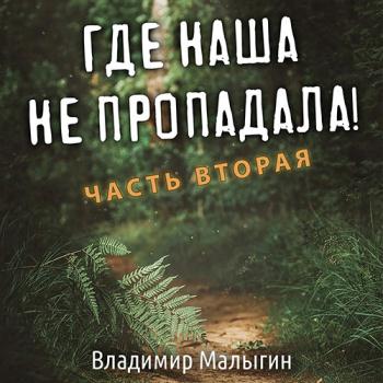 постер к Малыгин Владимир - Где наша не пропадала! Часть 2 (Аудиокнига)