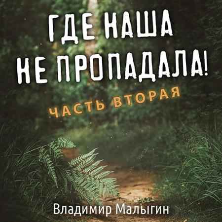 Малыгин Владимир - Где наша не пропадала! Часть 2 (Аудиокнига)