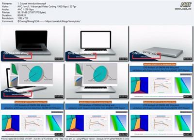 CFD analysis of ONERA M6 wing - Part 1 Geometry  modeling 701af06b81ebbebb655a43be660e55b0