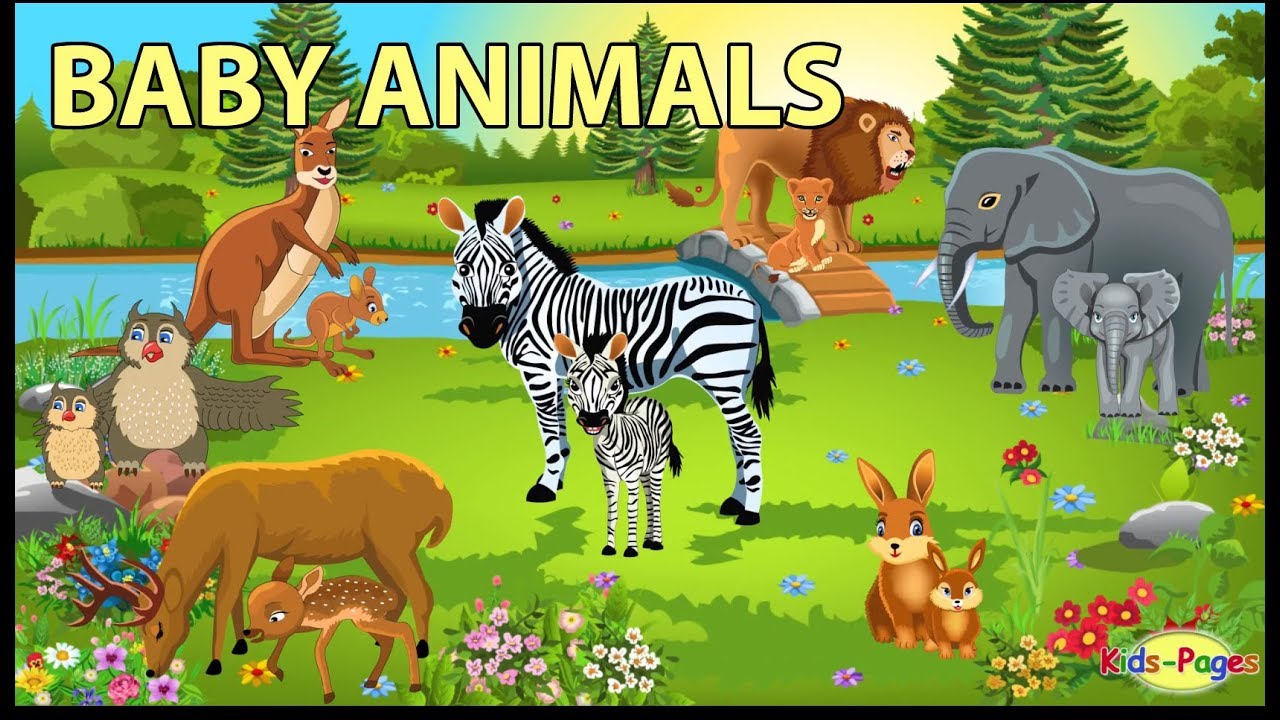 Learning English with animals ( parents purchase ) for kids