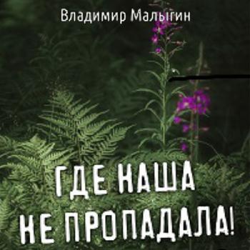 постер к Малыгин Владимир - Где наша не пропадала! (Аудиокнига)