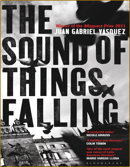 The Sound of Things Falling  A Novel