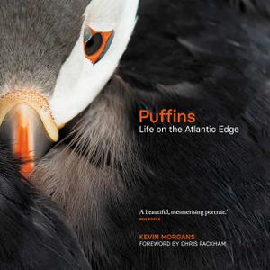 Puffins Life on the Atlantic Edge