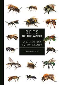 Bees of the World A Guide to Every Family