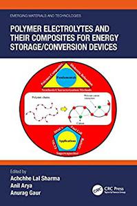Polymer Electrolytes and their Composites for Energy StorageConversion Devices