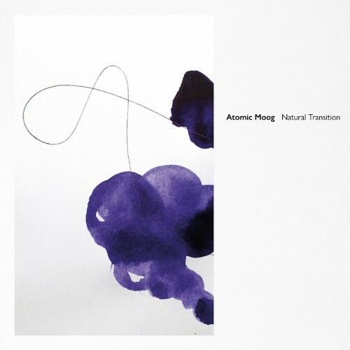 VA - Atomic Moog - Natural Transition (2022) (MP3)