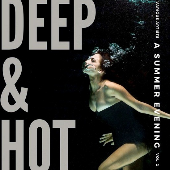 VA - Deep and Hot Vol. 2 (A Summer Evening)