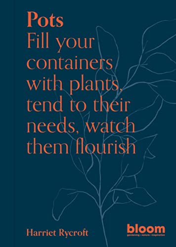 Pots Fill your containers with plants, tend to their needs, watch them flourish (Bloom)