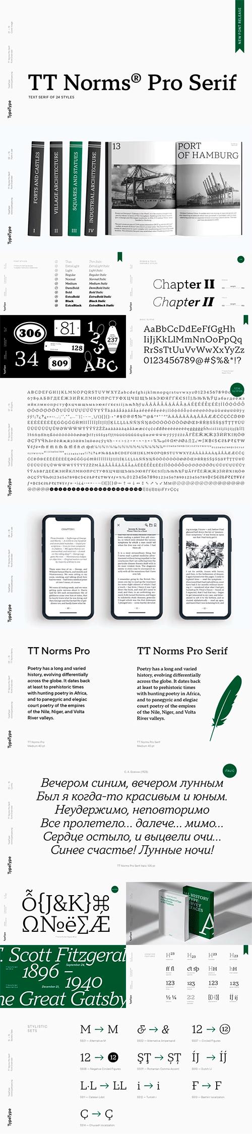 TT Norms Pro Serif font family