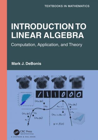 Introduction To Linear Algebra Computation, Application, and Theory