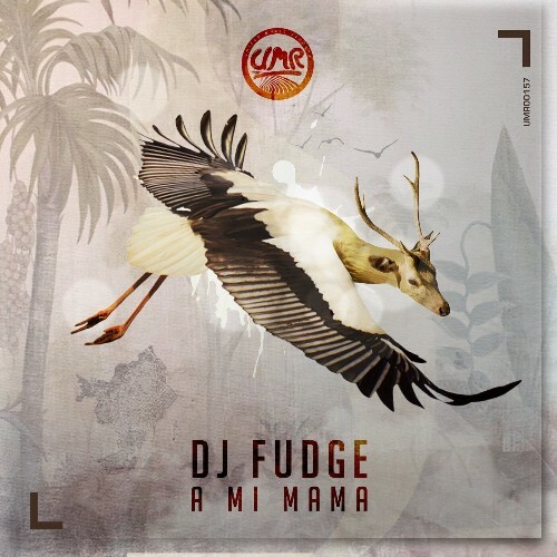 VA - DJ Fudge - A Mi Mama (2022) (MP3)