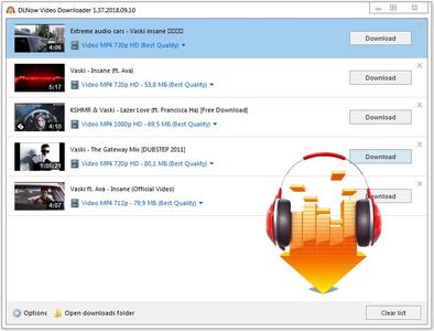DLNow Video Downloader 1.51.2022.10.04 Multilingual Portable