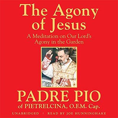 The Agony of Jesus (Audiobook)