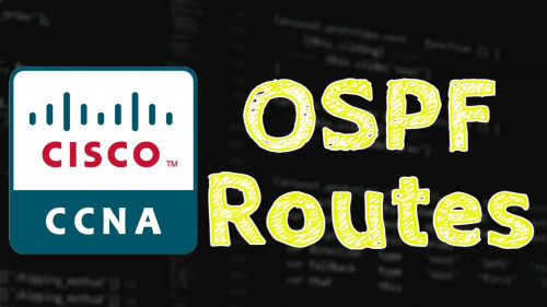 CISCO OSPF Hands-on Certification Training