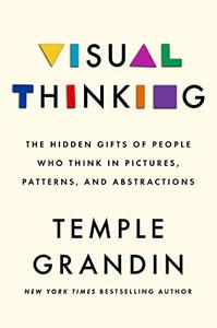 Visual Thinking The Hidden Gifts of People Who Think in Pictures, Patterns, and Abstractions
