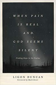When Pain Is Real and God Seems Silent Finding Hope in the Psalms