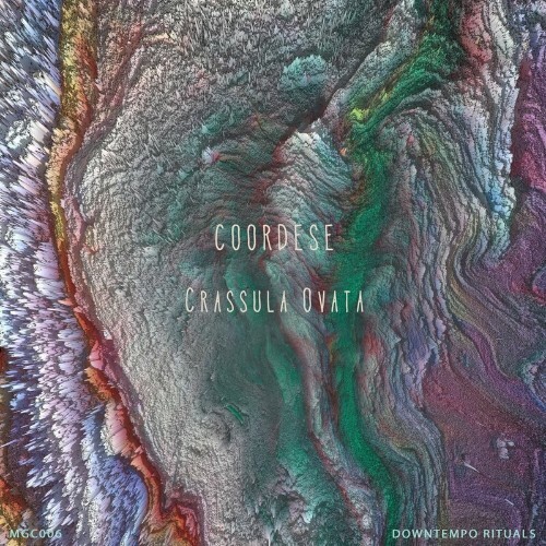 VA - coordese - Crassula Ovata (2022) (MP3)