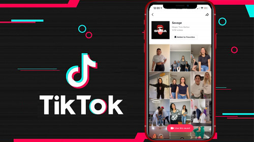 The Complete TikTok Masterclass: How to go Viral in 2022!