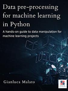 Data pre-processing for machine learning in Python