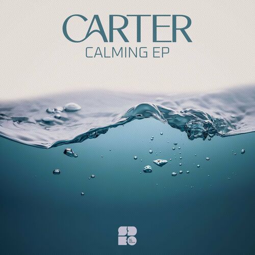 VA - Carter - Calming (2022) (MP3)