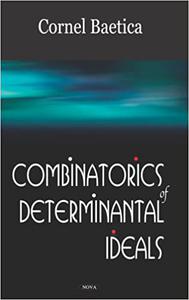 Combinatorics of Determinantal Ideals