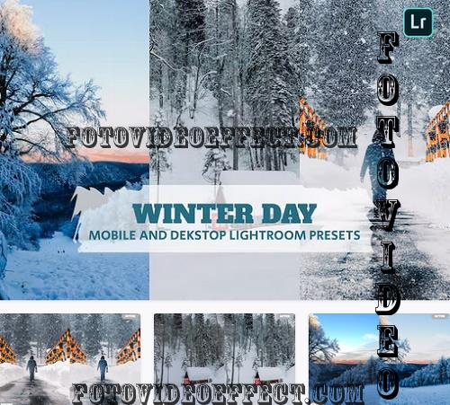 Winter Day Lightroom Presets Dekstop and Mobile