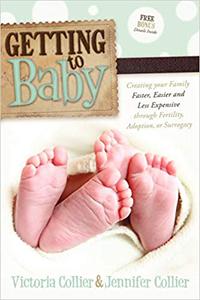 Getting to Baby Creating your Family Faster, Easier and Less Expensive through Fertility, Adoption, or Surrogacy
