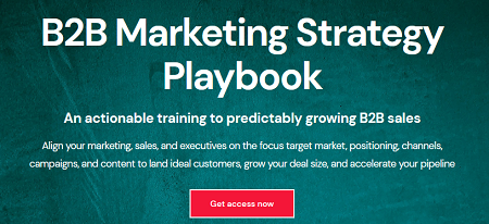 Zinkevich & Blagojevic – B2B Marketing Strategy Playbook