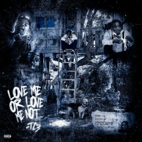 VA - Tc3 - Love Me Or Love Me Not (2022) (MP3)