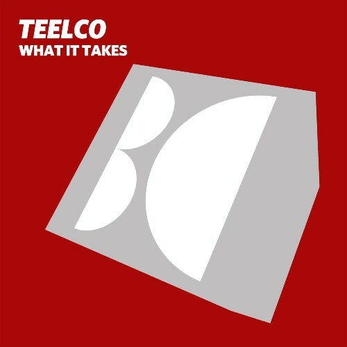 VA - TEELCO - What It Takes (2022) (MP3)