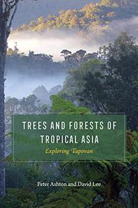 Trees and Forests of Tropical Asia Exploring Tapovan