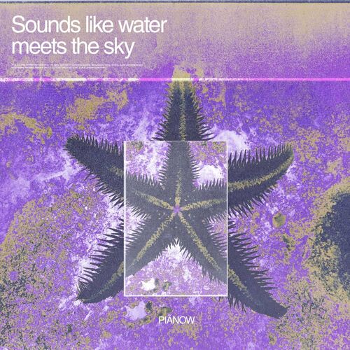 VA - Piãnow - Sounds Like Water Meets The Sky (2022) (MP3)