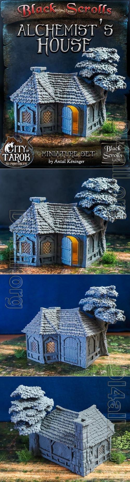 City of Tarok - Alchemists House 3D Print