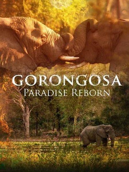 Возрождение рая в Горонгосе / Gorongosa: Paradise Reborn (2022) WEBRip 720p