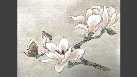 Relax With Chinese Painting - Magnolia Flower