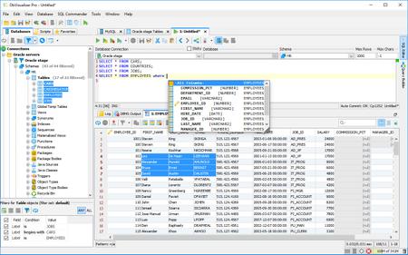 DbVisualizer Pro 14.0.1 (x64)