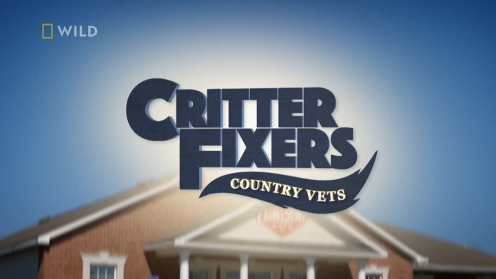 Critter Fixers - zwierzęcy cudotwórcy: gady / Critter Fixers: Country Vets: Reptile (2022) PL.1080i.HDTV.H264-B89 | POLSKI LEKTOR