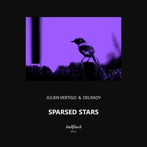 Julien Vertigo & Delrady - Sparsed Stars (2022)