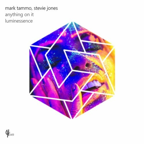 VA - Mark Tammo & Stevie Jones - Anything On It (2022) (MP3)
