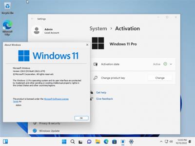 Windows 11 Pro 22H2 Build 22621.674 (No TPM Required) With Office 2021 Pro Plus Multilingual  Preactivated