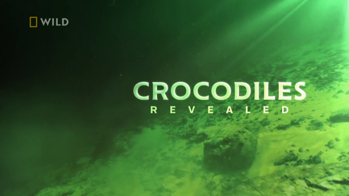 Sekretne życie krokodyli / Crocodiles Revealed (2022) PL.1080i.HDTV.H264-B89 | POLSKI LEKTOR
