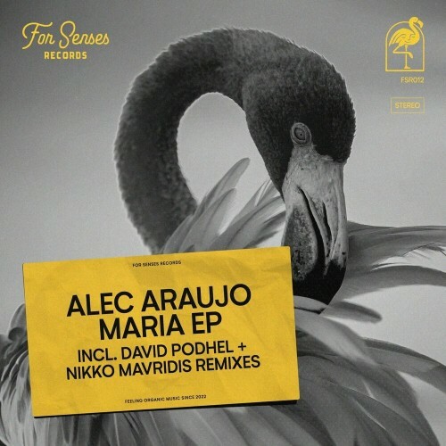 VA - Alec Araujo - Maria (2022) (MP3)