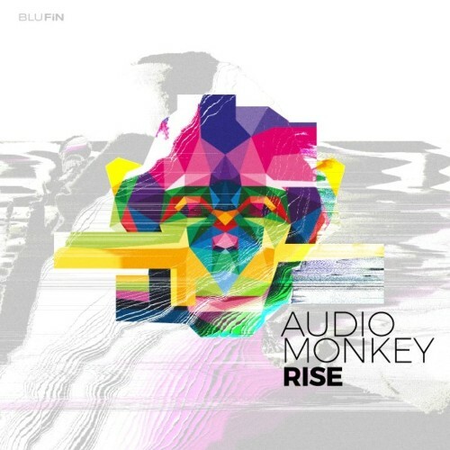 VA - Audio Monkey - Rise (2022) (MP3)