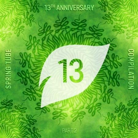 VA | Spring Tube 13th Anniversary Compilation Part 2 (2022) MP3