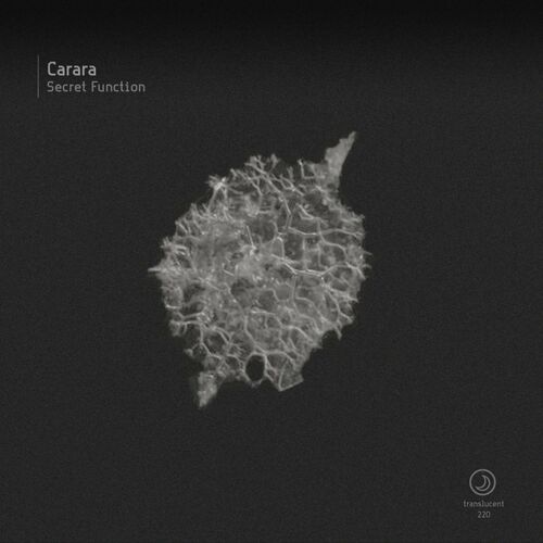 Carara - Secret Function (2022)