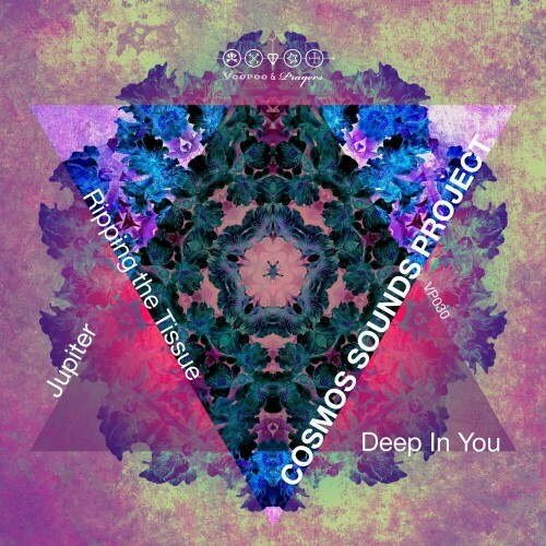 VA - Cosmos Sounds Project - Deep in You (2022) (MP3)