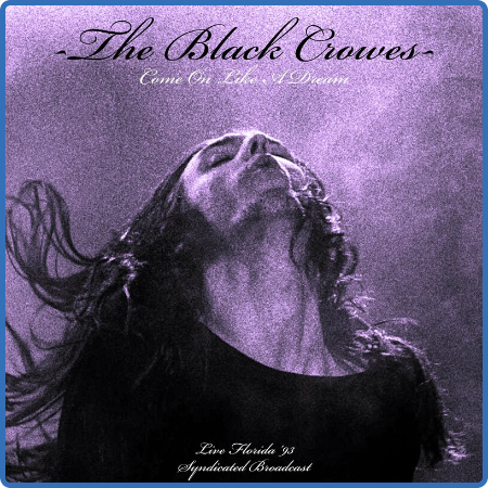 The Black Crowes - Come On Like A dream (Live 1993) (2022)