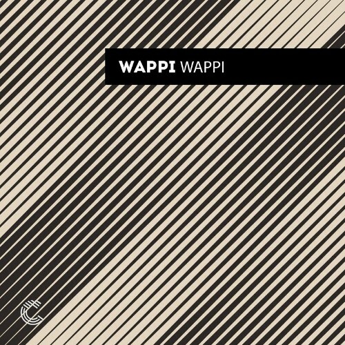 VA - Paul Edge aka Wappi - Wappi Remixes (2022) (MP3)