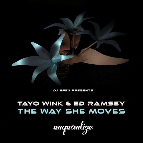 VA - Tayo Wink & Ed Ramsey - The Way She Moves (2022) (MP3)