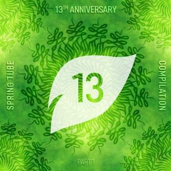 VA - Spring Tube 13th Anniversary Compilation Part 1 (2022) (MP3)